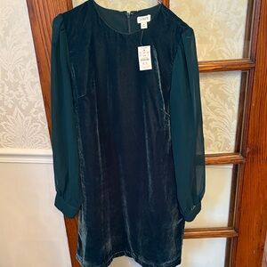 J. Crew Long Sleeve Velvet Dress - Deep Green